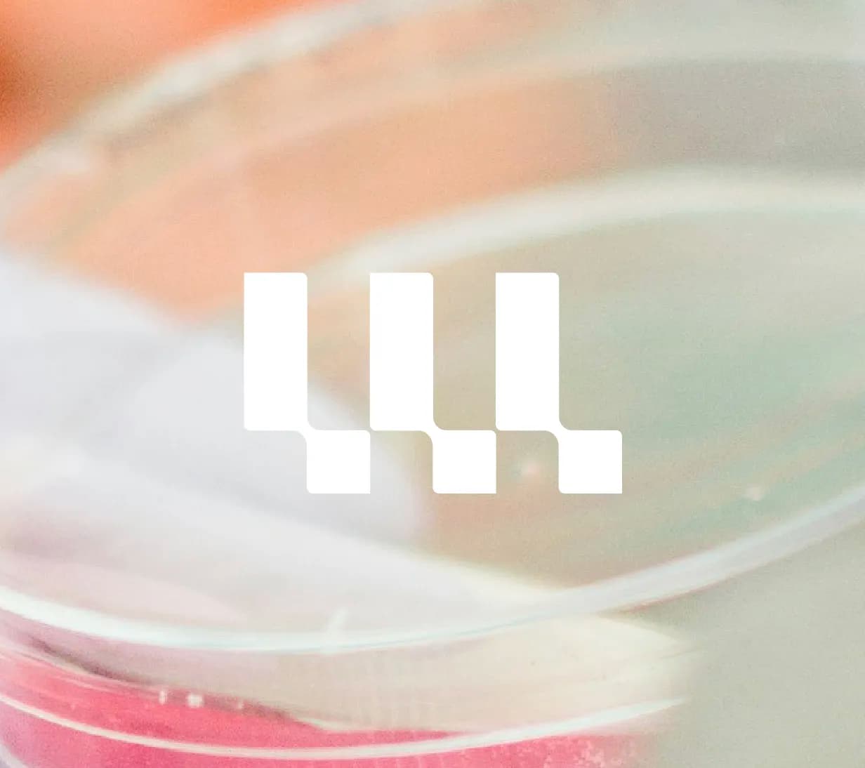 Lithea granted SME status by European Medicines Agency (EMA)